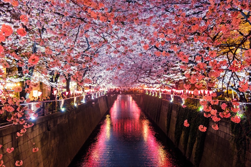 Professional Japanese business setting — JLPT N2 Advanced Level at NIHOんDIA